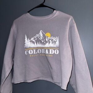 Hollister Purple Sweatshirt